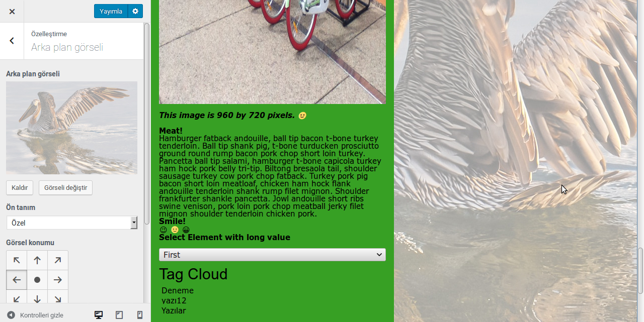 Fullportal theme arkaplan görseli